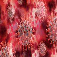 نوع جدید ویروس کرونا در شهر نیویورک یافت شد