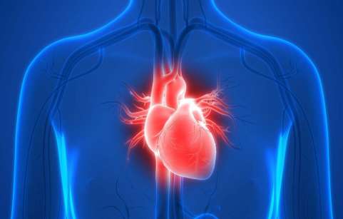 بیماری دریچه قلب چیست؟